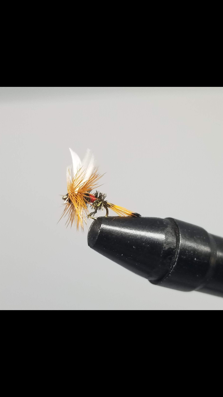 100 Assorted Dry and Nymph Fly Fishing Flies : : Sports, Fitness &  Outdoors