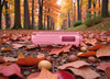 AR-15 9MM PCC Pink Sherbert Cerakote Upper Receiver