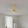 Matthews Fan Company - AKLK-BRBR-LM-42 - 42" Ceiling Fan - Alessandra - LK - Brushed Brass