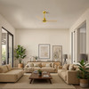 Matthews Fan Company - AK-BRBR-LM-42 - 42" Ceiling Fan - Alessandra - Brushed Brass