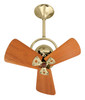 Matthews Fan Company - BD-PB-WD - 16" Ceiling Fan - Bianca Direcional - Polished Brass