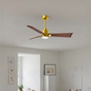 Matthews Fan Company - AKLK-BRBR-WN-42 - 42" Ceiling Fan - Alessandra - LK - Brushed Brass
