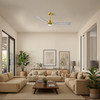 Matthews Fan Company - AKLK-BRBR-BW-56 - 56" Ceiling Fan - Alessandra - LK - Brushed Brass