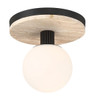 Eurofase - 50187-027 - LED Flush Mount - Carnagie - Matte Black