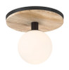Eurofase - 50186-020 - LED Flush Mount - Carnagie - Matte Black