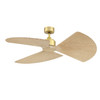 Fanimation - MAD8514BS - Motor - TriAire Custom - Brushed Satin Brass