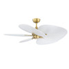 Fanimation - MAD3250BS - DC Motor - Islander DC - Brushed Satin Brass