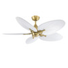 Fanimation - MAD3250BS - DC Motor - Islander DC - Brushed Satin Brass