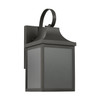 Generation Lighting - GLO1011EN3/ANBZ - One Light Lantern - Saybrook - Antique Bronze