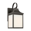Generation Lighting - GLO1011EN3/ANBZ - One Light Lantern - Saybrook - Antique Bronze