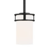 Generation Lighting - 6121601-112 - One Light Mini-Pendant - Robie - Midnight Black