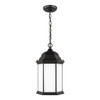 Generation Lighting. - 6238751-12 - One Light Outdoor Pendant - Sevier - Black