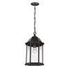 Generation Lighting. - 6238701-71 - One Light Outdoor Pendant - Sevier - Antique Bronze