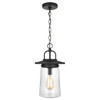 Generation Lighting. - 6208901-12 - One Light Outdoor Pendant - Tybee - Black