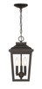 Minka-Lavery - 72174-189-C - Three Light Chain Hung - Irvington Manor - Chelesa Bronze