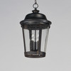 Maxim - 3029CDBZ - Three Light Outdoor Hanging Lantern - Dover DC - Bronze