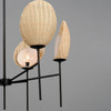 Maxim - 12606NABK - Six Light Chandelier - Maldives - Black