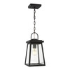 Visual Comfort Studio - 6248401EN3-12 - One Light Outdoor Pendant - Founders - Black