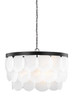 Visual Comfort Studio - 5202508-112 - Eight Light Pendant - Mellita - Midnight Black