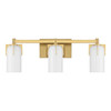 Savoy House - 8-4128-3-322 - Three Light Bathroom Vanity - Caldwell - Warm Brass