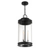 Savoy House - 5-901-BK - Three Light Outdoor Hanging Lantern - Englewood - Matte Black