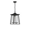 Savoy House - 5-2025-BK - One Light Outdoor Hanging Lantern - Denver - Matte Black