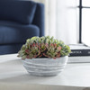 Uttermost - 60212 - Succulent Accent - Peoria - Green And Burgundy Tones