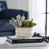 Uttermost - 60209 - Succulent Accent - Mesa Succulent - Textured Tan