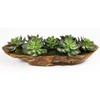 Uttermost - 60205 - Centerpiece - Yuma - Natural Teak