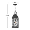 Hinkley - 23302MB - LED Hanging Lantern - Briar - Museum Black