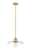 Z-Lite - 821P14-OBR - One Light Pendant - Paloma - Olde Brass