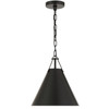 Crystorama - XAV-B8301-MK - One Light Pendant - Xavier - Matte Black