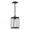 Hubbardton Forge - 362021-SKT-80-ZM0730 - One Light Outdoor Lantern - Cela - Coastal Black