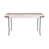 Arteriors - GDFKI01 - Desk - Mosquito - Ivory Vellum/Blackened Iron