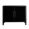 Arteriors - FNS21 - Cabinet - Jericho - Black