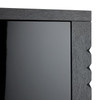 Arteriors - FNS21 - Cabinet - Jericho - Black