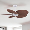 Matthews Fan Company - AKTP-MWH-WN - 48"Ceiling Fan - Alessandra TROPICAL - Matte White
