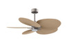Matthews Fan Company - AKTPLK-BN-LM - 48"Ceiling Fan - Alessandra TROPICAL - LK - Brushed Nickel