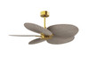 Matthews Fan Company - AKTP-BRBR-GA - 48"Ceiling Fan - Alessandra TROPICAL - Brushed Brass