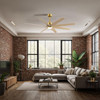 Matthews Fan Company - ANLK-BRBR-LM-64 - 64"Ceiling Fan - Ariella-LK - Brushed Brass