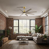 Matthews Fan Company - ANLK-BRBR-GA-64 - 64"Ceiling Fan - Ariella-LK - Brushed Brass