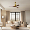Matthews Fan Company - NK-BRBR-WA-52 - 52"Ceiling Fan - Nan - Brushed Brass