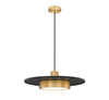 Z-Lite - 829P20-MB-MGLD-LED - LED Pendant - Ludo - Matte Black + Modern Gold