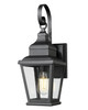 Z-Lite - 5029S-BK - One Light Outdoor Wall Mount - Raphael - Sand Black