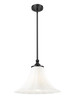 Z-Lite - 1958P16-MB - One Light Pendant - Fleur - Matte Black