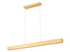 Z-Lite - 1016-55L-GLD-LED - LED Linear Chandelier - Hudson - Gold