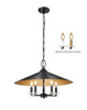Z-Lite - 1953-22MB - Five Light Pendant - Rialto - Matte Black