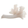 Arteriors - ASC48 - Sculpture - Luca - Matte White