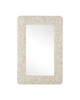 Currey and Company - 1000-0168 - Mirror - Turbinella - Natural