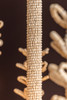 Corbett Lighting - 575-30-CP - Six Light Chandelier - Pedrillo - Cream Plaster